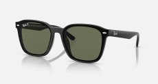画像1: 【Ray-Ban正規品】レイバン RB4392D 601/9A 66-18  (1)