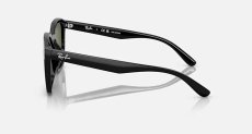 画像3: 【Ray-Ban正規品】レイバン RB4392D 601/9A 66-18  (3)
