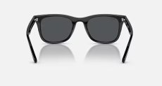 画像4: 【Ray-Ban正規品】レイバン RB4391D 601/87 65-18  (4)