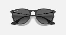 画像5: 【Ray-Ban正規品】レイバン  ERIKA  (エリカ) RB4171F 622/T3 54-18  (5)