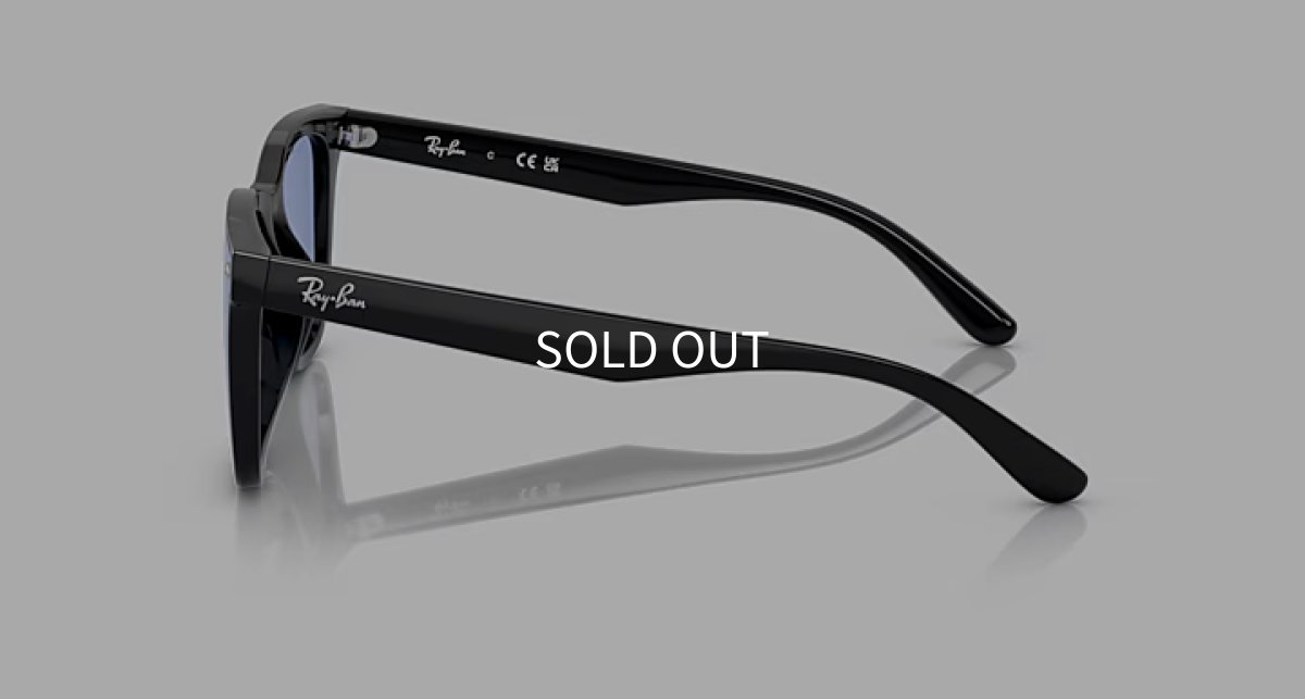 【即日発送】Ray-Ban レイバン サングラス RB4391D 601/80 65サイズ ブルー フラットレンズ アジアンフィット ウェリントン テンプル画像