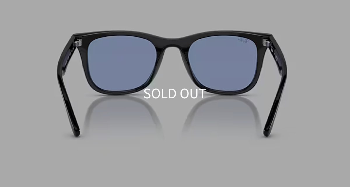 【即日発送】Ray-Ban レイバン サングラス RB4391D 601/80 65サイズ ブルー フラットレンズ アジアンフィット ウェリントン 裏面画像