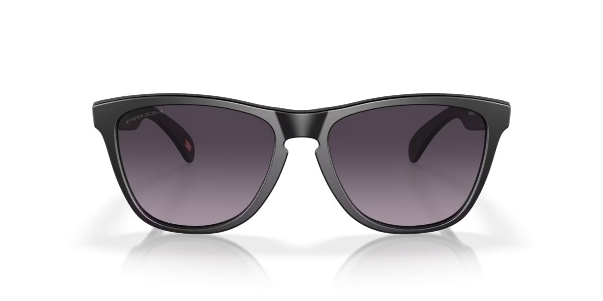 画像2: 【OAKLEY正規販売品】オークリーサングラス　OO9245-D054　Frogskins（フロッグスキン） (Low Bridge Fit) (2)