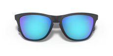 画像5: 【OAKLEY正規販売品】オークリーサングラス　OO9245-6154　Frogskins（フロッグスキン） (Low Bridge Fit) (5)