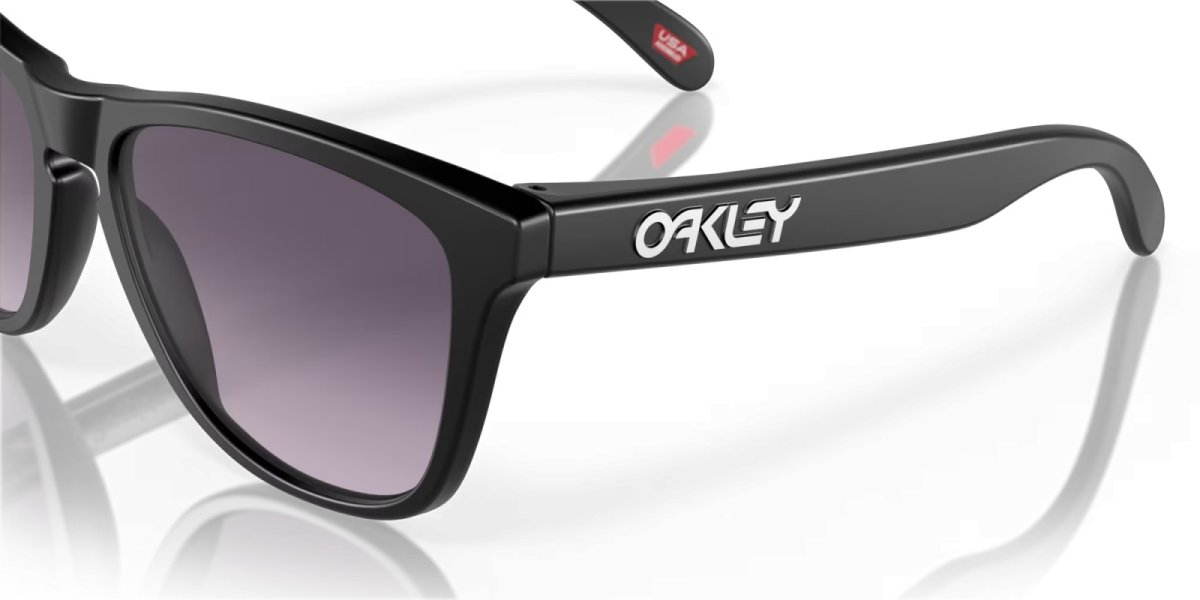 画像6: 【OAKLEY正規販売品】オークリーサングラス　OO9245-D054　Frogskins（フロッグスキン） (Low Bridge Fit) (6)