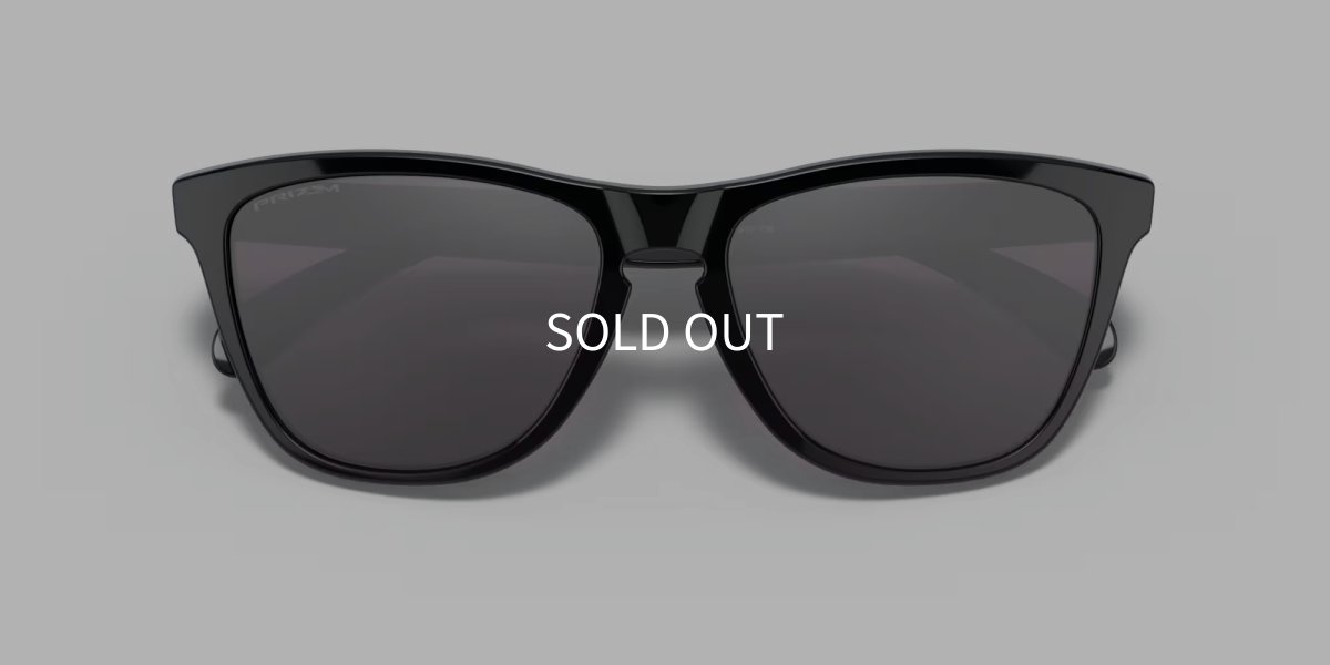 画像5: 【OAKLEY正規販売品】オークリーサングラス OO9245-7554 Frogskins（フロッグスキン） (Low Bridge Fit) (5)