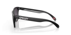 画像3: 【OAKLEY正規販売品】オークリーサングラス　OO9245-D054　Frogskins（フロッグスキン） (Low Bridge Fit) (3)