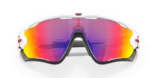 画像5: 【OAKLEY正規販売品】オークリーサングラス　 OO9290-05　Jawbreaker（ジョウブレイカー） (5)