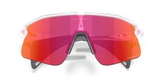 画像5: 【OAKLEY正規販売品】オークリーサングラス　OO9517-1039　Stunt Devil（スタントデビル） (5)