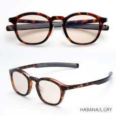 画像1: 【SOLAIZ】近赤外線・UVブロック エイジングケアサングラス (SLD-006 ハバナ/ライトグレー) (1)