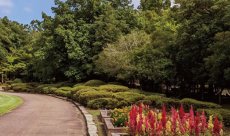 SOLAIZ SLD-006 カーキ/ライトブラウン レンズ見え方画像｜近赤外線・UVカットサングラス