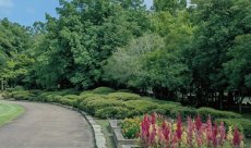 SOLAIZ SLD-006 ライトブルーレンズの色味・透け感