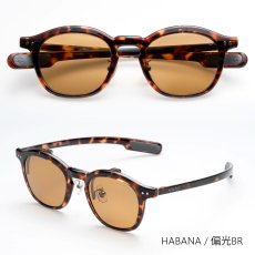 HABANA/偏光BR(最短3日後発送)