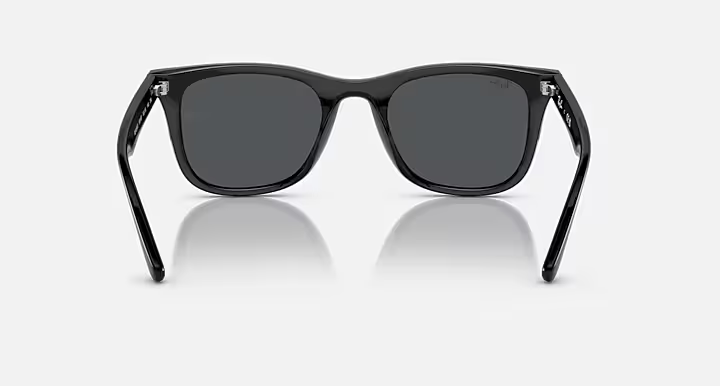 画像4: 【Ray-Ban正規品】レイバン RB4391D 601/87 65-18  (4)