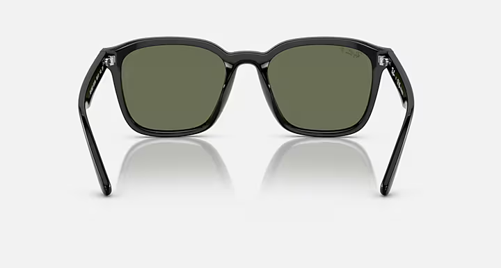 画像4: 【Ray-Ban正規品】レイバン RB4392D 601/9A 66-18  (4)