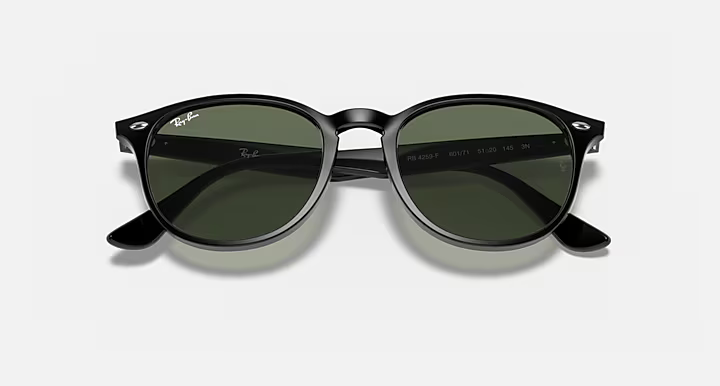 画像5: 【Ray-Ban正規品】レイバン RB4259F 601/71 53-20  (5)